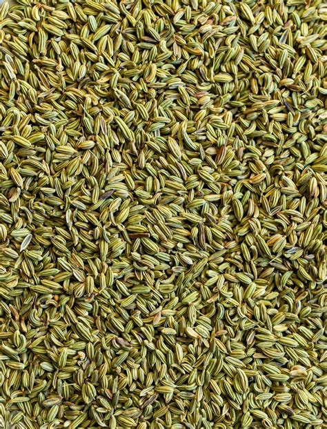 Green Organic Fennel Seeds Packaging Type Loose At Rs 220 Kg In