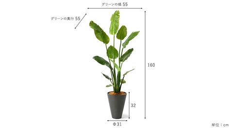 ストレチア 高さ160cm フェイクグリーン 人工観葉植物 大型 インテリア オフィス の通販 オフィスグリーン ガラージ