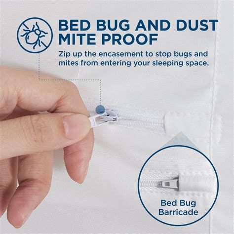 Bedsurebedding Bed Bug Proof Mattress Cover Twin Xl Size