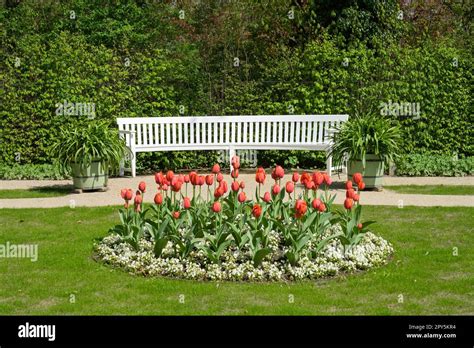 Tulpenbeet Bank Garten der Liebermann Villa Am Großen Wannsee