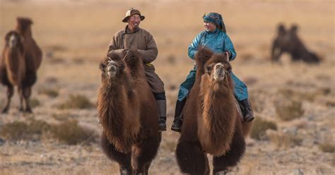 Fra Ulaanbaatar Dages Tur Til Den Gamle Hovedstad Getyourguide