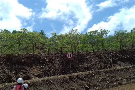 Pemanfaatan Jasa Lingkungan Hutan Di Malut Ada Yang Langgar Aturan