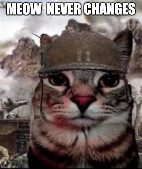 War War Never Meows Imgflip