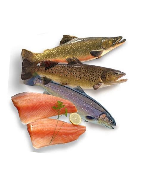 Pack Poisson Eau Douce March En Ligne