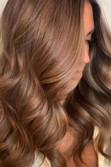 Top Id Es De Balayages Chocolat Noisette Light Brown Hair Light