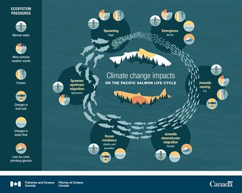 Canada S Oceans Now Pacific Ecosystems Climate Change Impacts