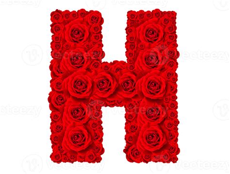 Rose Alphabet Set Alphabet Capital Letter H Made From Red Rose