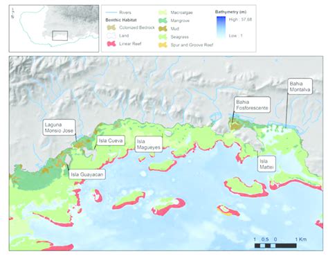 Coastal habitats of La Parguera Lajas map by M Schärer Download