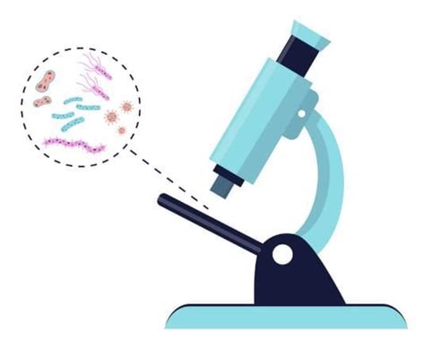 The Invisible Living World Beyond Our Naked Eye Chapter Notes