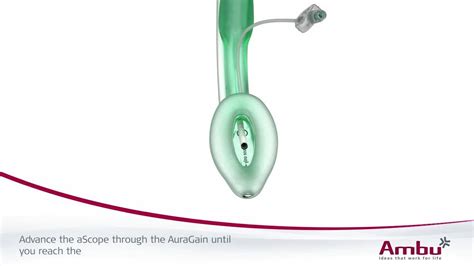 AScope 3 And AuraGain Ambu External