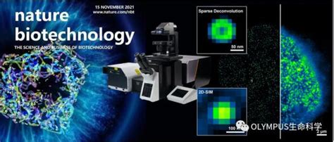 搭载稀疏解卷积算法的sparse Sim在高分辨活细胞成像的应用 生物器材网
