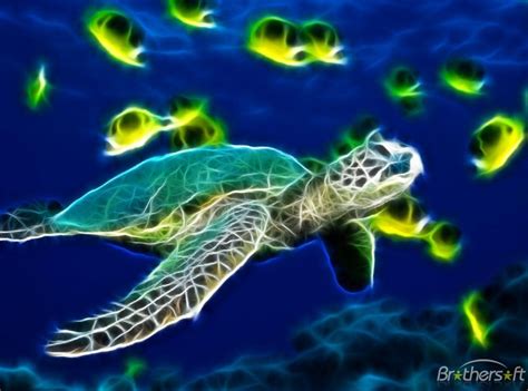 Free Sea Turtle Wallpaper Backgrounds - WallpaperSafari