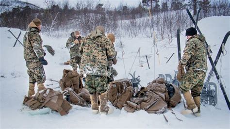 Fighting In The Freezer Royal Marines Train US Marines In Arctic