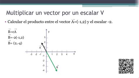 Producto De Un Vector Por Un Escalar Ejercicios Resueltos N°5