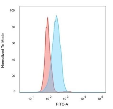 Sirtuin Sirt Antibody Pcrp Sirt A Azide And Bsa Free Novus