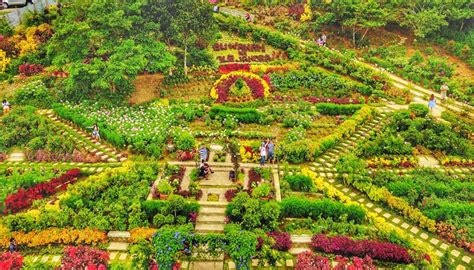 Flower Park In The Philippines Best Flower Site