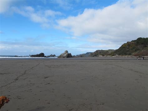 Harris Beach State Park Campground - Brookings, Oregon