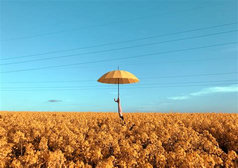 Yellow Umbrella Photos, Download The BEST Free Yellow Umbrella Stock Photos & HD Images