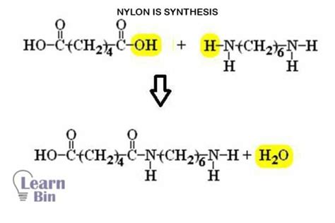 Polyamides An Introduction Learn Bin