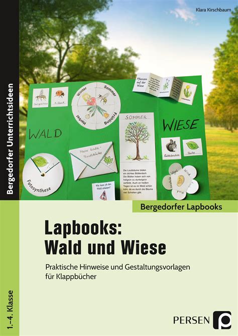 Grundschule Unterrichtsmaterial Sachunterricht Lapbooks Wald Und Wiese