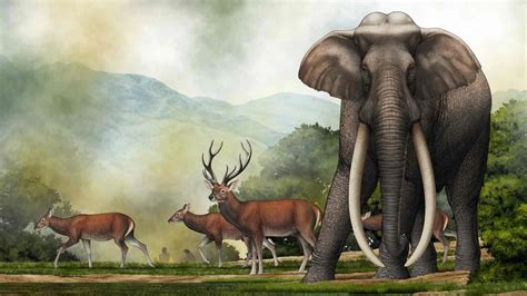 Mysterious elephant species uncovered with 87 prehistoric stone tools ...