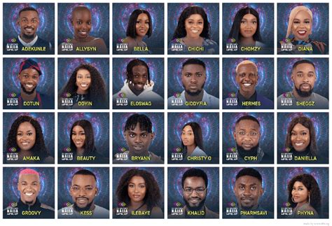 Meet The Big Brother Naija Housemates As Season 7 Kicks Off Skabash