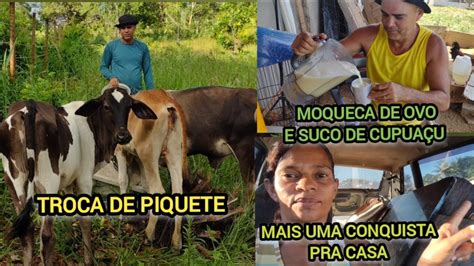 Mudamos Os Bezerros De Piquete Uma Conquista Pra Casa Da Ro A Suco De