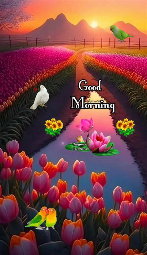 Pin By Gopesh Avasthi On Morning In 2024 Good Morning Beautiful