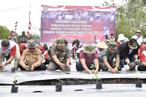 Gubernur Sugianto Sabran Pimpin Gerakan Tanam Bawang Merah Dan Cabai