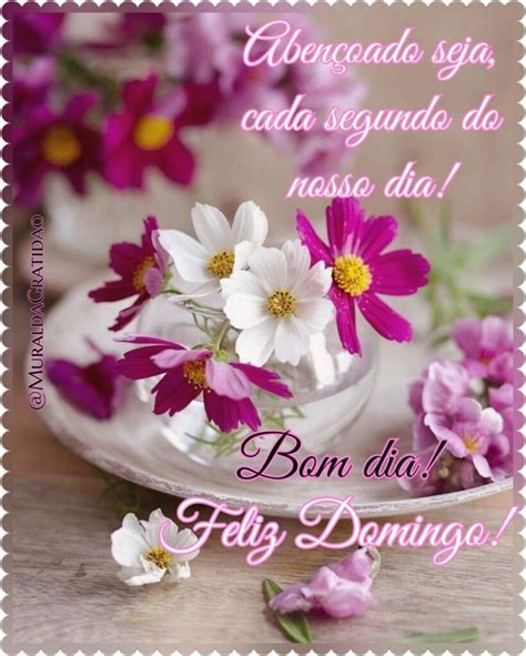 35 Mensagens lindas de Bom Dia e Feliz Domingo alegre e Abençoado