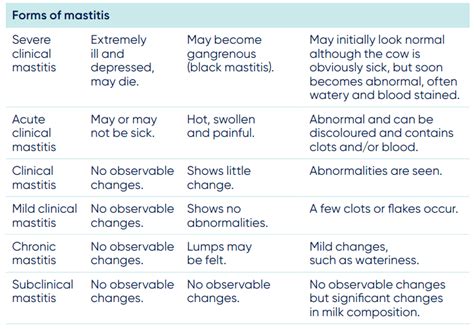 Controlling Mastitis In Your Dairy Cows