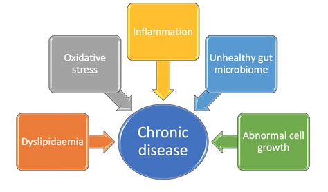 How Does Diet And Lifestyle Drive Chronic Disease Plant Based Health