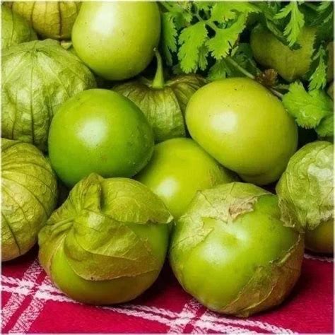 20 Semillas De Tomatillo Verde Physalis Ixocarpa La Tienda De Jorge