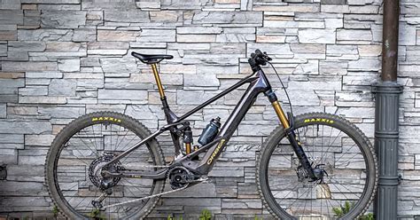 Baskischer Charakterkopf E Enduro Orbea Wild Bike