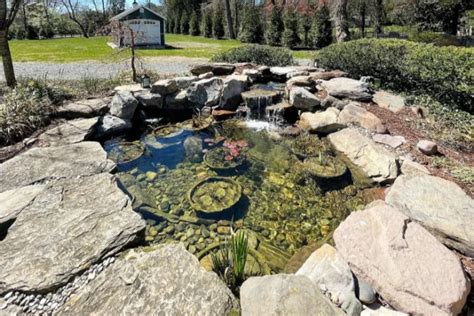 Pond Biological Filters: How To Install One And The Benefits