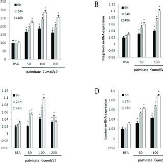 Palmitate Induced Ros Formation And The Mrna Expression Integrin V