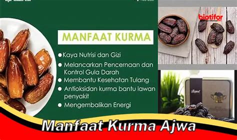 Temukan Rahasia Kurma Ajwa Yang Jarang Diketahui Biotifor