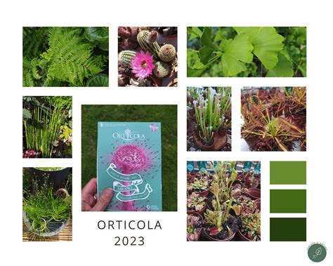 Orticola 2023 L Intelligenza Dei Fiori E Delle Piante Curiosa Di Natura