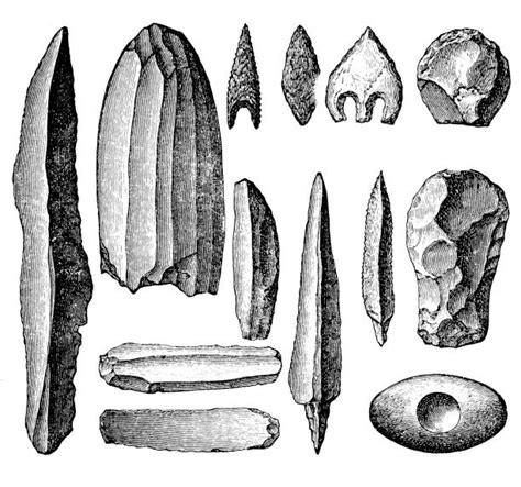 Paleolithic Tools And Weapons