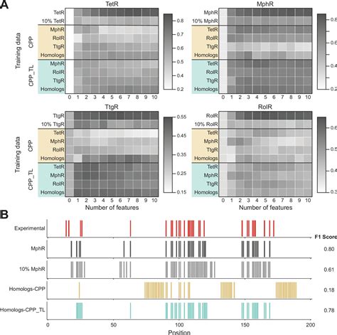 Deep Mutational Scanning And Machine Learning Reveal Structural And