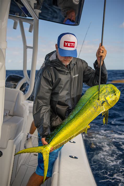 More Mahi-Mahi Tips — Waypoint Outdoors