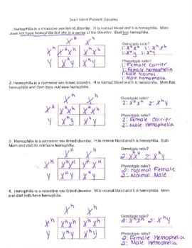 Sex Link Punnett Square Teacher Key By Jen S Brainstorms Tpt