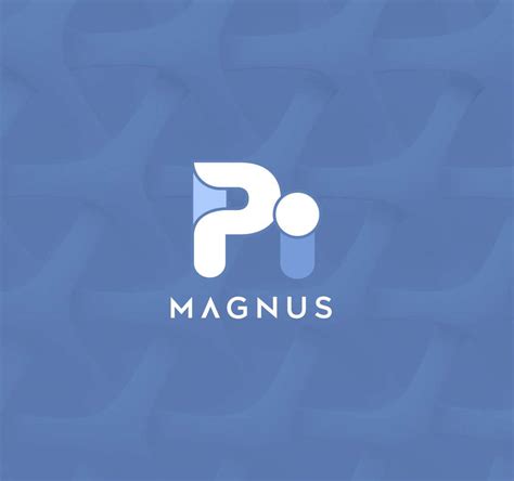 Magnus Pi Advanced B B Marketing Persona Tool Magnus Consulting