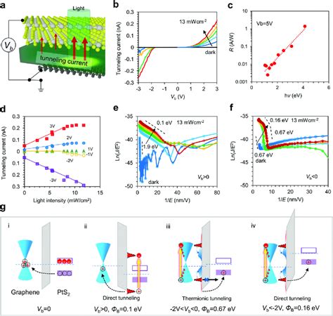 The Charge Tunneling Characteristics Of The PtS 2 H BN Graphene VdW