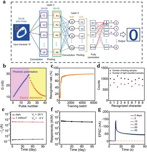 Simulation Of Systemlevel MNIST Pattern Recognition And Longterm