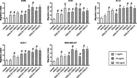 Combined Effects Of CXCL12 And CXCL11 On Tumor Cell Migration