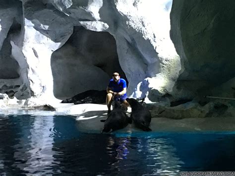 SeaWorld Orlando Update: Attractions Closing Early, New Glacier Bar