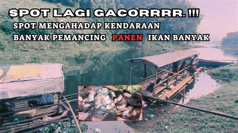 SPOT GACORR CALINCING WADUK CIRATA JAWA BARAT | MANCING MANIA - YouTube