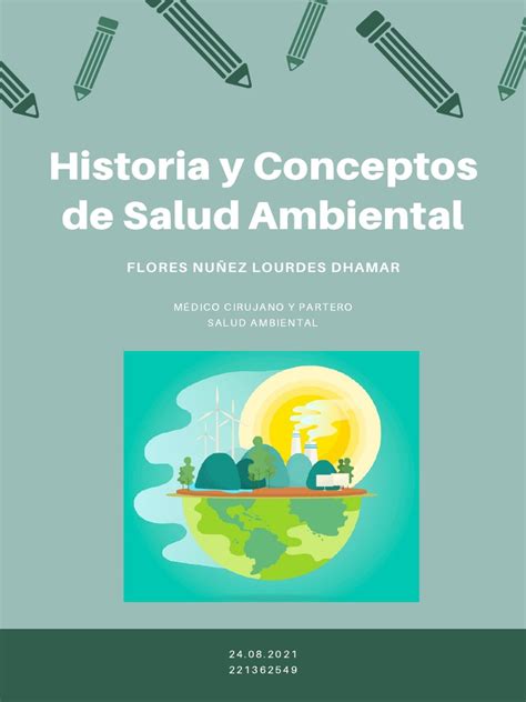 Salud Ambiental Pdf Saneamiento Salud Ambiental