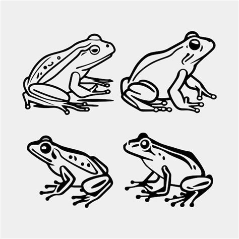 Premium Vector Set Of Frogs On White Background